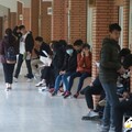 統測成績出爐！成績單今14時開放查成績