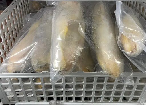 中國進口小黃魚驗出禁藥!賣出1千公斤