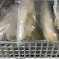 中國進口小黃魚驗出禁藥！賣出1千公斤