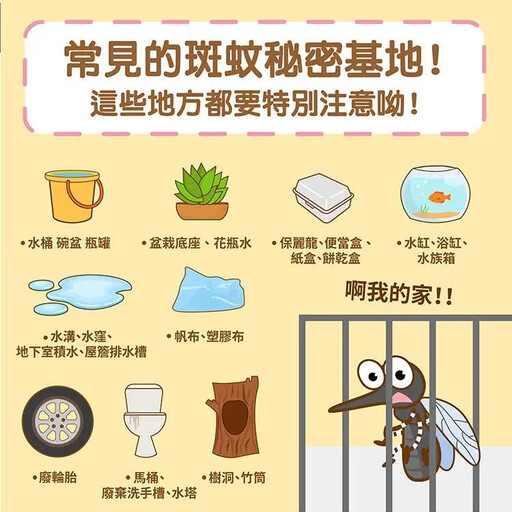登革熱疫情持續!梅雨季來臨 疾管署發聲了