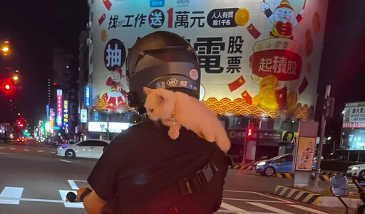 機車男肩頭驚險「遛貓」 竟扯:牠自己爬的