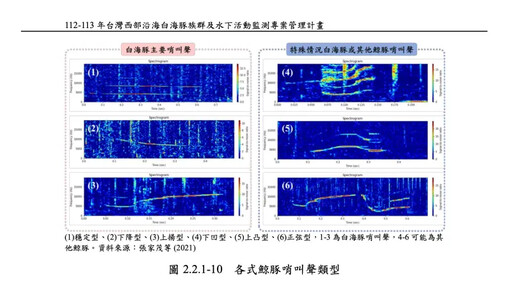 NOWnews隨環團出海 直擊白海豚棲息地