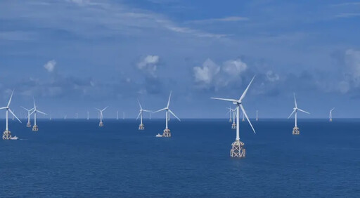 NOWnews隨環團出海 直擊白海豚棲息地