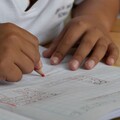 申請入學文組招生冷 讀語文無用武之地？
