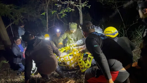 台灣黑熊受困武陵山莊 獸醫連夜救援搶命