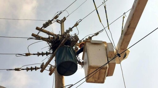 桃園蘆竹大停電!3012戶受影響 台電搶修中