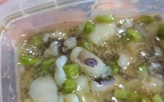 高雄男吃到「劇毒藍環章魚」！毒物醫示警