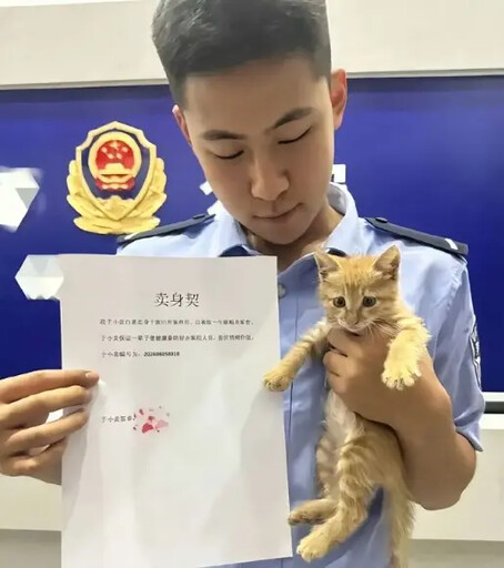 流浪貓到派出所簽賣身契 變身可愛貓警長