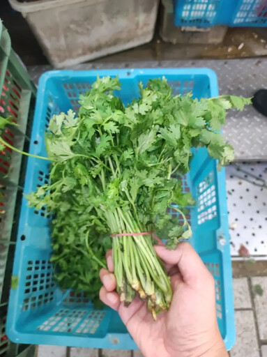 台灣菜價全面飆漲!40年菜販認了:全軍覆沒