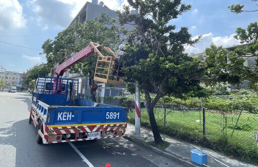 楊柳颱風逼近 工務局疾呼:車輛別停路樹下