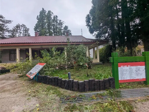 楊柳颱風狂襲!福壽山農場「蘋果王」斷裂了