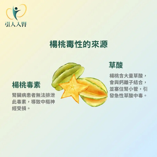 這款水果吃超過4顆 當心引起急性腎臟衰竭