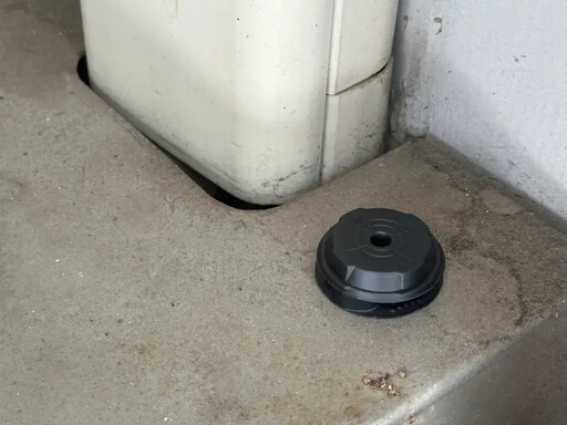 蟑螂瘋吃蟑螂藥！網友：最強滅蟑神是「它」