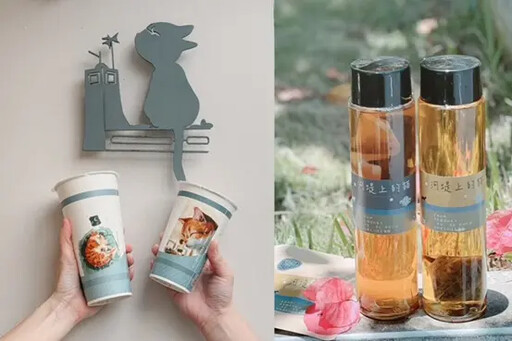 新竹「河堤上的貓」國內外奪20獎 跨界超商