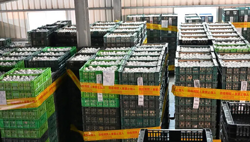 龍忠蛋行發聲明：未見文雅畜牧場移動管制