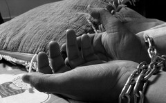 7成民眾挺「鞭刑打詐」！他曝真正原因嗆爆