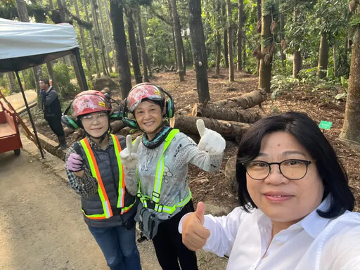 嘉義樹木園修復卡關！王美惠爭取經費復原