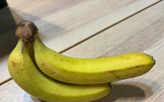 吃香蕉造成咳嗽加劇？兒科醫：3族群要注意