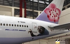 攜手公益團體 華航舉辦動物方城市2特映會