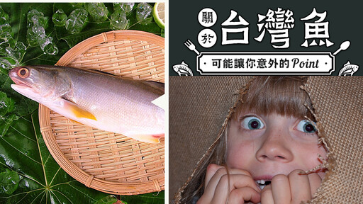 關於台灣魚，可能讓你很意外的5個Point與禁忌？！