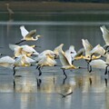 全國頂級走春景點 國家公園走春資訊、活動一覽 （中部、南部篇）