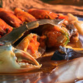夏日清爽開胃，連新聞主播也推薦的【甲殼學－海鮮料理】