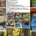 雞胸蝦仁賣翻天！好市多成減重族補貨熱點