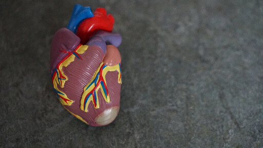 猝死保險會理賠嗎?心臟疾病千萬不能大意！