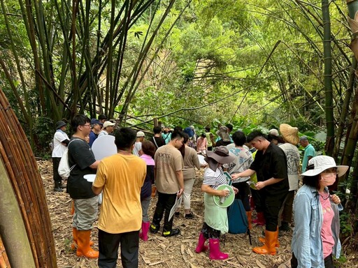 大葉師生攜手石牌社區 清除外來大花曼陀羅