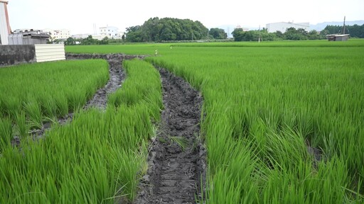 縣府蠻幹?三民農地重劃工程 農友喊暫停施工