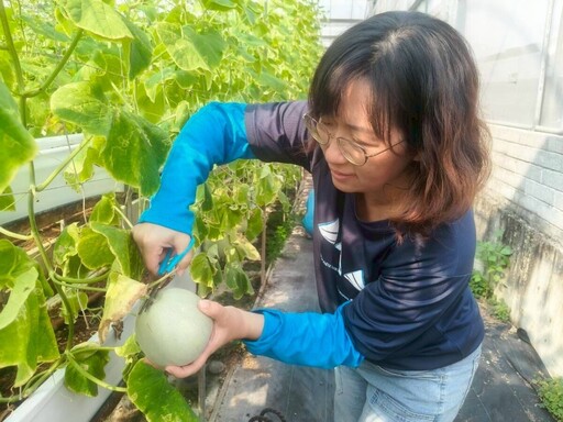 文德國小小農夫出動!親手採香瓜樂翻田間