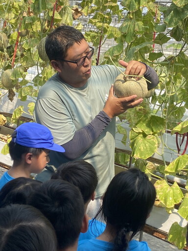 文德國小小農夫出動!親手採香瓜樂翻田間
