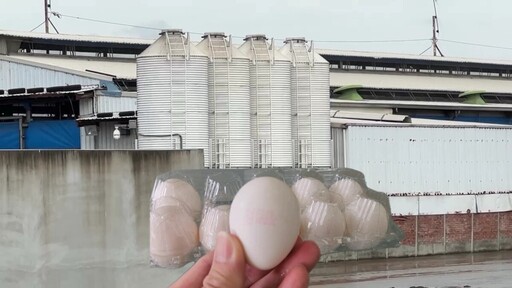 文雅畜牧場又爆芬普尼殘留 16萬顆雞蛋遭封存