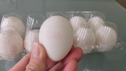 文雅畜牧場又爆芬普尼殘留 16萬顆雞蛋遭封存