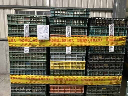 文雅畜牧場又爆芬普尼殘留 16萬顆雞蛋遭封存