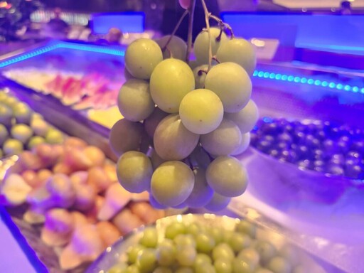 千葉餐飲12月鍋季登場 極千葉火鍋麝香葡萄吃到飽、加碼抽 iPhone