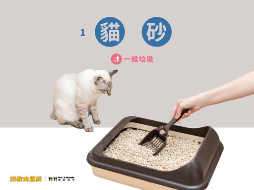 廢棄貓砂如何處理、貓抓板能回收嗎?9大常見寵物用品回收指南