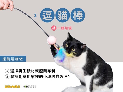 廢棄貓砂如何處理、貓抓板能回收嗎?9大常見寵物用品回收指南