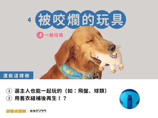 廢棄貓砂如何處理、貓抓板能回收嗎?9大常見寵物用品回收指南
