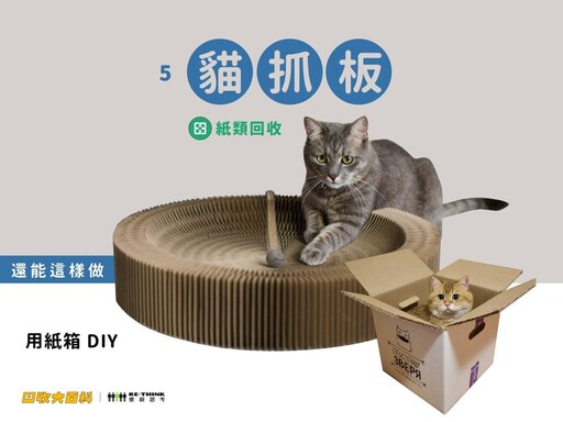 廢棄貓砂如何處理、貓抓板能回收嗎?9大常見寵物用品回收指南