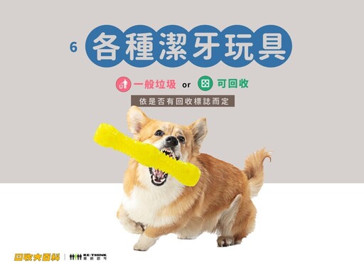 廢棄貓砂如何處理、貓抓板能回收嗎?9大常見寵物用品回收指南