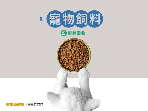 廢棄貓砂如何處理、貓抓板能回收嗎?9大常見寵物用品回收指南