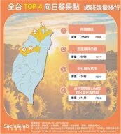 絕美金黃花海！全台四大必訪向日葵景點