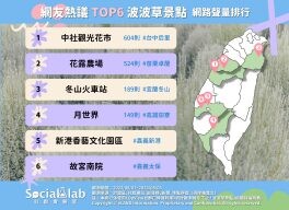 植物系「抹茶丸子」不只可愛還好拍？圓滾滾的波波草景點在這裡！