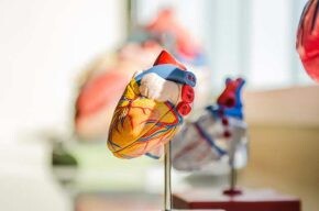 心血管疾病台人死因第二？快學五大撇步，有效防堵心血管問題！