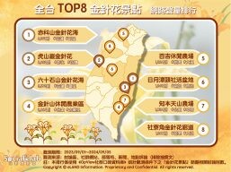 賞金針好解憂！網推全台TOP8金針花景點不能錯過