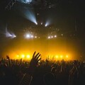 現場應援不出包！演唱會必備「這五項」物品