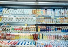 改善便祕這樣喝!網推十種「助順暢飲品」超有感