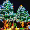 2023山谷燈光節點燈 最高耶誕樹閃耀大梨山