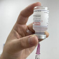 研究指靠「舊版」新冠疫苗保護力退至近乎沒打 疾管署籲兩族群打XBB疫苗
